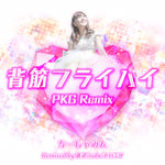 ちーしゃみん / 背筋フライハイ PKG Remix